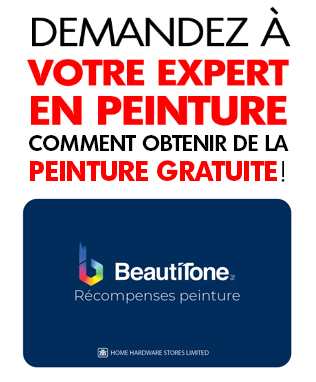 DEMANDEZ À VOTRE EXPERT EN PEINTURE COMMENT OBTENIR DE LA PEINTURE GRATUITE!